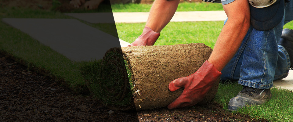 American Fork Landscapers